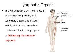Chapter 22 The Lymphatic System And Immunity The