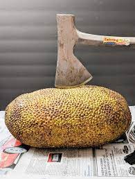 We did not find results for: What Is Jackfruit And How To Cut Jackfruit On The Go Bites