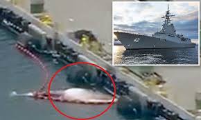 The history of the hmas sydney & vlsva and their fight for recognition of war service has been accepted into the. Sycvjjyxzelmvm