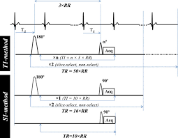Meet the 2nd generation nest hub from google. Acquisition Schemes For The Mouse Cardiac Studies Slice Select And Download Scientific Diagram