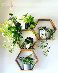 Small Plants House Plants In 2020 Plant Decor Indoor Plant Decor Air Purifying House Plants