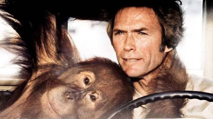 Every Which Way But Loose Is Clint Eastwood's Most Successful Film