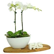 Sending flowers to a hospital for friends and loved ones. Send Fresh Flowers To Concord Hospital Sydney