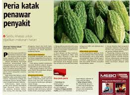 Peria katak sebagai ubat kencing manis tradisional. Penawar Sakit Buah Pinggang Kencing Manis Darah Tinggi Facebook