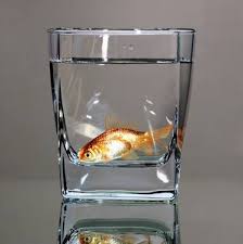 It is based on the popular webtoon of the same title by aengo, which was first published by kakaopage in 2013, and was later published by comico korea in 2015. Nothing Life Object Painting By Young Sung Kim Saatchi Art