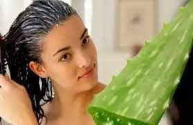 Now add aloe vera gel to it and mix it well. Make Your White Hair Black With The Help Of Aloe Vera Newstrack English 1