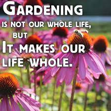 Gardening Is Not Our Whole Life But It Makes Our Life Whole So True Garden Quotes Sensory Garden Garden