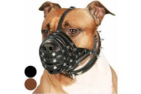 Jun 19, 2020 · the collardirect pitbull muzzle is specifically designed for larger dogs, like pitbulls and staffordshire terriers. Dick Smith Black Collardirect Pitbull Dog Muzzle Leather Amstaff Muzzles Staffordshire Terrier Secure Basket Pet Supplies Dogs Training Obedience Muzzles