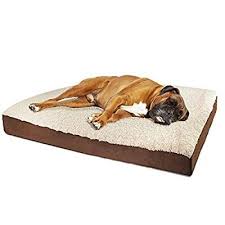 Paws And Pals Pet Beds For Dogs And Cats Pets Pillow Bed Best For Small Medium Large Xl Xxl And Xxxl Dog In 2020 Pet Cushions Orthopedic Pet Bed Animal Pillows