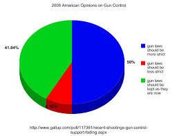 Stgapgov Problem Section Gun Control