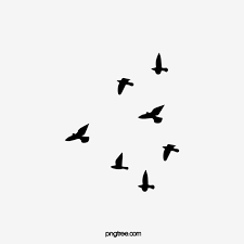 Crows Crow Material Png Transparent Clipart Image And Psd File For Free Download In 2020 Crow Photo Background Images Eyes Artwork