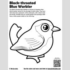 With these coloring pages, you can whatever color comes to their mind when they see these bird coloring pages. Cute Bird Coloring Pages By Birdorable Free Downloads