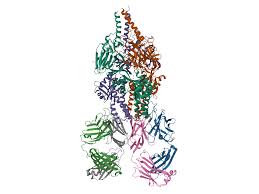 Image result for Nirsevimab