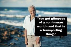 Enjoy the top 142 famous quotes, sayings and quotations by david attenborough. 23 Of Sir David Attenborough S Wisest Quotes On His 93rd Birthday