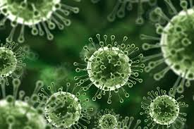 Nipah virus first was identified in 1998 when an outbreak in malaysia and singapore sickened more than 250 people. Everything You Should Know About The Nipah Virus Outbreak Aviva India