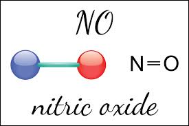 The Nitric Oxide Miracle Molecule — Integrative Medicine Solutions