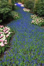 Background Beautiful Bloom Free Image 21525 Gorgeous Gardens Flower Beds Beautiful Gardens