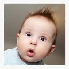 Vikas Mohan (@VikasMo14540597)