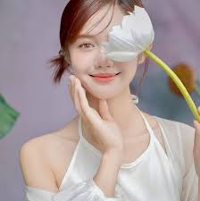 Chụp ảnh sen Hồ Tây