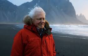 A page for describing creator: Best David Attenborough Quotes The Environment Show