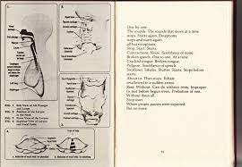 cha dictee google search reunification cracked tongue this or that questions