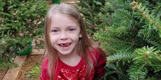 Dogs that killed 7-year-old Wake County girl to be put down