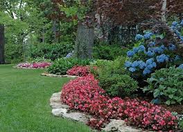 Design School Back It Up Grow Beautifully Garden Shrubs Garden Landscape Design Garden Landscaping