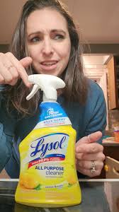 Effective Ant Control with Toxic Household Products