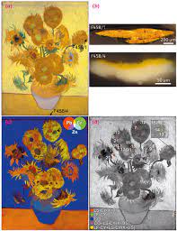 While vincent himself never actually stated why he liked the. Van Gogh S Sunflowers Evidence Of Degradation Of The Chrome Yellows