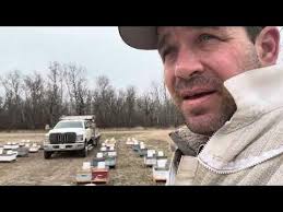 a Canadian Beekeeper's Blog