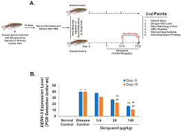 Blood platelets count normal range and platelet counts in dengue, chikungunya, malaria and a platelets count is usually ordered along with a complete blood count test by a doctor when a the platelets count usually shows a fall in the platelets levels below 10,000 per microliter of blood. Biomolecules Free Full Text Validation Of A Novel Zebrafish Model Of Dengue Virus Denv 3 Pathology Using The Pentaherbal Medicine Denguenil Vati Html
