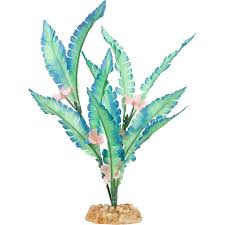 Image result for plants