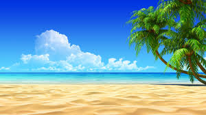 Hd Wallpapers For Desktop Background Free Download Beach Wallpaper Beach Desktop Backgrounds Palm Trees Wallpaper