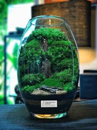 Terrarium Szene Terrariumszene Terrarium Scene Terrarium Beautiful Terrariums