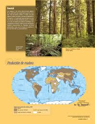 Catálogo de libros de educación básica. Atlas De Geografia Del Mundo Quinto Grado 2017 2018 Pagina 95 De 122 Libros De Texto Online