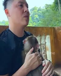 Absolutely Gorgeous ❤️❤️❤️ Ten Unknown Facts About #BMW 1. Founding and  History: BMW, Bayerische Motoren Werke AG, was founded in 1916 in Munich,  Germany, initially producing aircraft engines. The company transitioned to