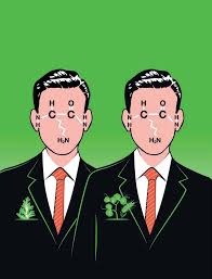 Evolutionary insights into two plant protein families: Bowman-Birk  inhibitors and asparaginyl endopeptidases