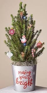 Send a live mini christmas tree to bring holiday cheer to even the smallest of places. Best Fresh Tabletop Christmas Trees