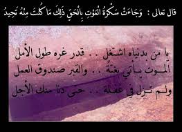 قبل الـوداع شبكة ومنتديات زاد المسافر