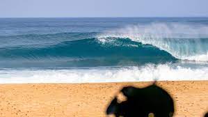 This hi def live streaming cam is brought to you by rider shack, the west sides one stop surf shop. Sunset Beach Surf Report Live Surf Cams 16 Day Surf Forecast Surfline
