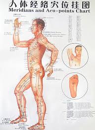 Buy Generic Color Body Acupuncture Points Chart Meridian