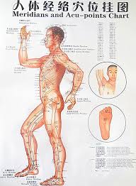 buy generic color body acupuncture points chart meridian