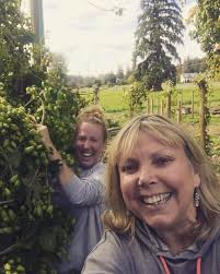 Farm Shed Cultivated