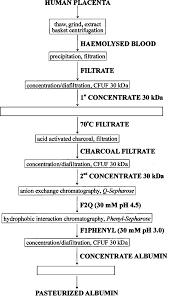 scheme 1 flow diagram for the production of albumin from