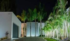 الديكور الحديث للحدائق الخارجية للمنزل Plants Aquarium