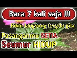 Baca 7x Doa Mantra Pengasihan Tanpa Puasa Paling Ampuh Untuk Memikat Wanita Ilmu Pelet Lewat Nama Youtube Membaca Mantra Kekuatan Doa