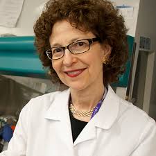 Meet Our Team: Amy Paller Lab: Feinberg School of Medicine