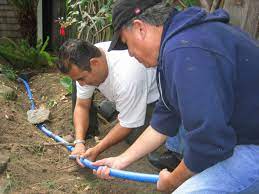 These types of plants are typically found in forests where acid soils predominate. Greywater Reuse Greywater Action