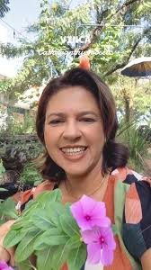 Você conhecia a vinca como planta medicinal? #vinca #plantamedicinal  #flores #jardin #jardim