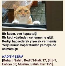 Muslumanlarin Neden Hayvan Sevgisi Yok Sorcev